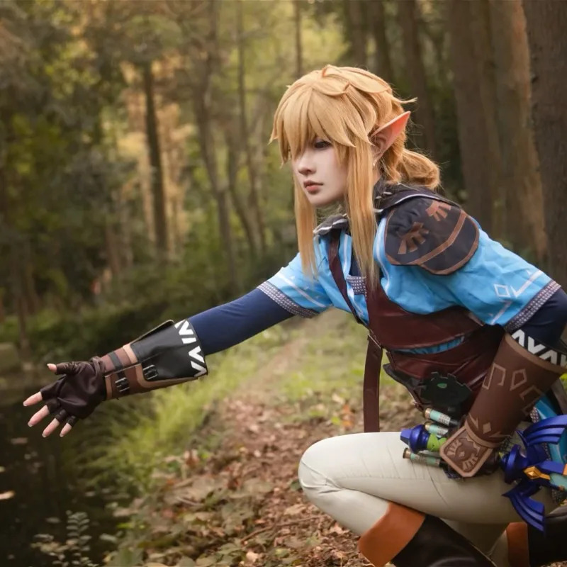 Game Zelda Breath of The Wild  – Zelda Party Games Bewertung und Preis